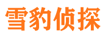 正安市调查公司